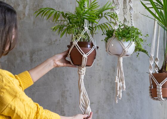 Hangplanten zonder boren