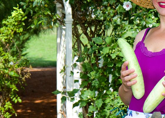 Bobbi Eden boek over moestuinieren