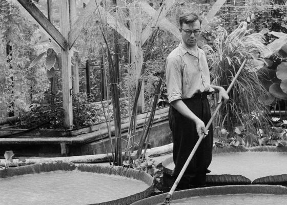 Hortus Botanicus van het gas af