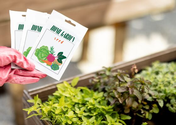 Zaden houdbaarheid bewaren