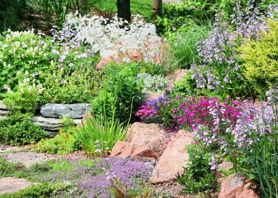 vermeerderen vaste planten