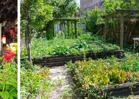 tuin tijdens zomervakantie