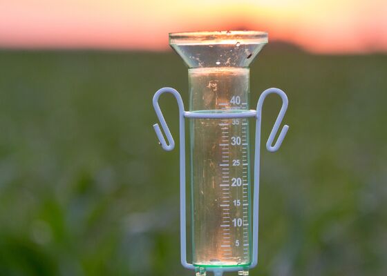 Minder natuurbranden door vele regen, natuur staat er groen bij