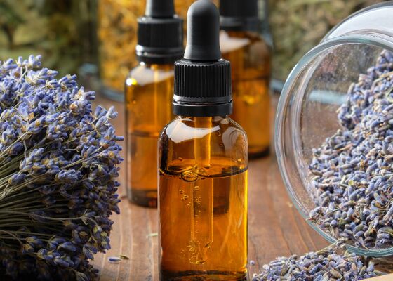 lavendel uitgebloeid