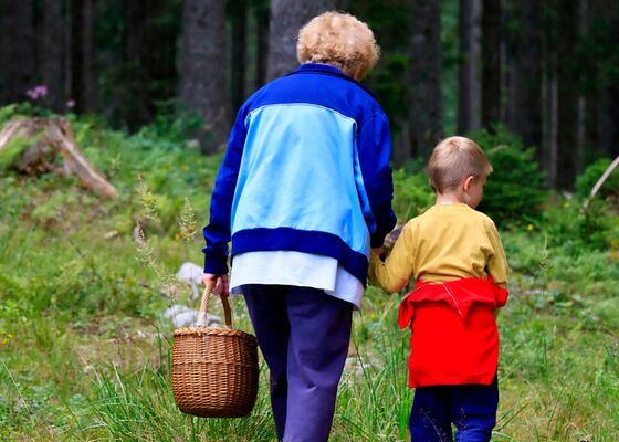 Noten rapen natuur herfst