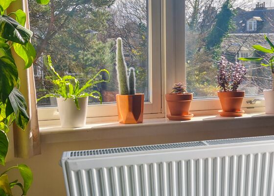 Planten en verwarming