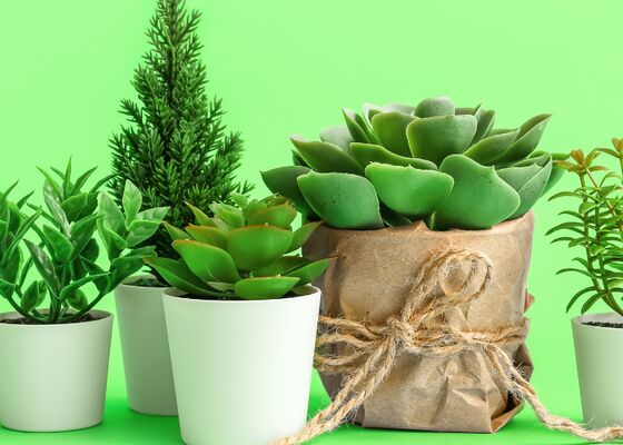 Kunstplanten in huis