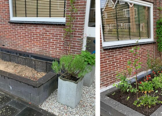 Voedselbos in je eigen tuin