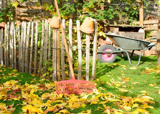 Tuinieren in de winter