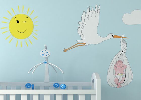 BN'ers die kind verwachten