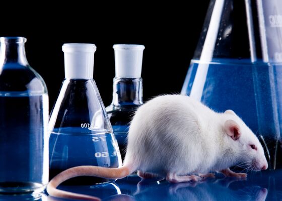 Middel tegen veroudering