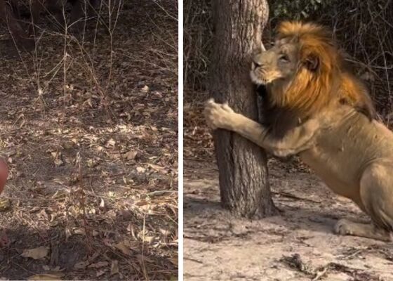 Samantha Steenwijk in Afrika