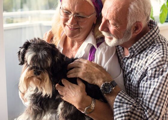 Langstlevende hondenrassen