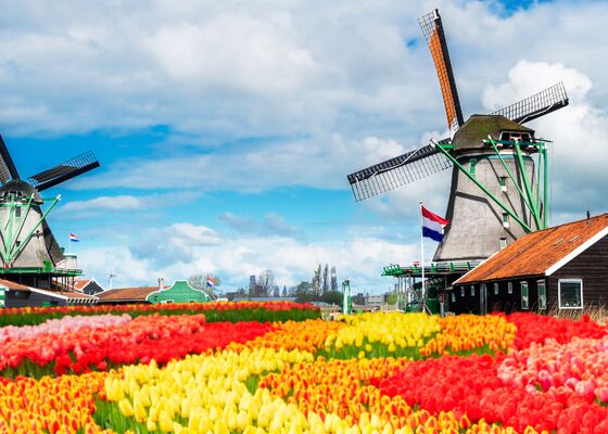 Nationale Molendagen