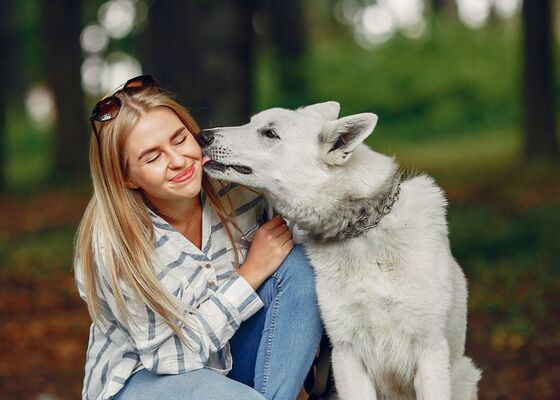 Laat je hond je niet in het gezicht likken