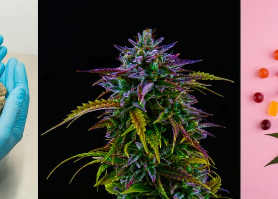 cbc oercannabis als medicijn