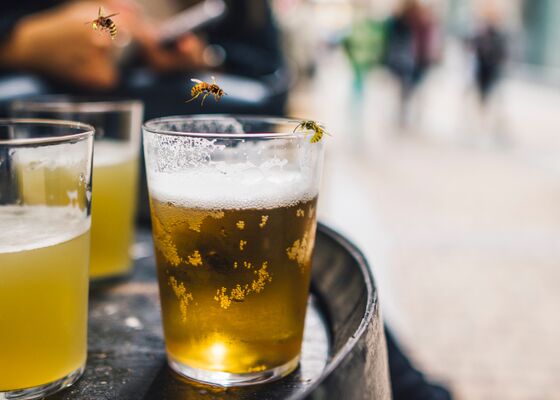 Boete voor wespen wegjagen of doden