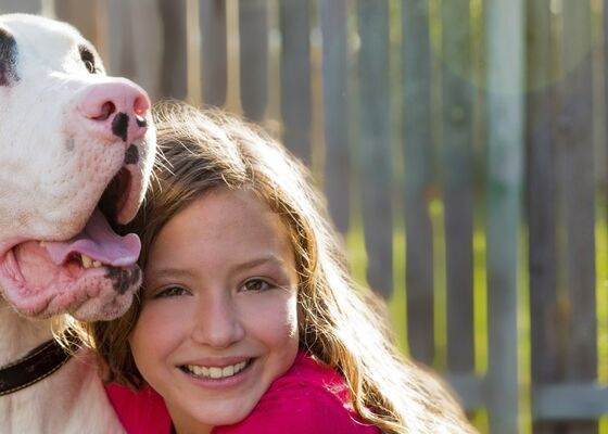Verleng de levensduur van grote honden met LOY-001