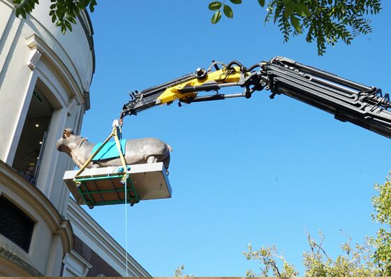 Tanja nijlpaar ARTIS