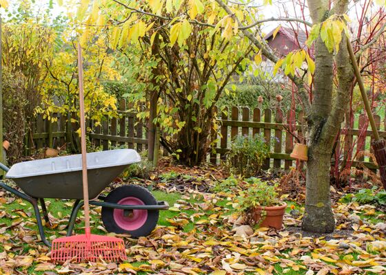 herfststorm tuin herstellen