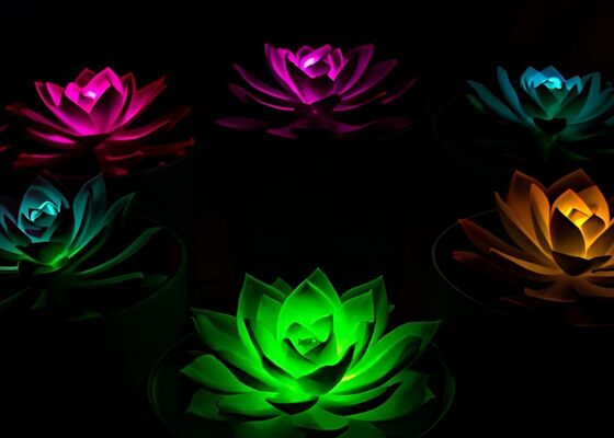 lichtgevende planten