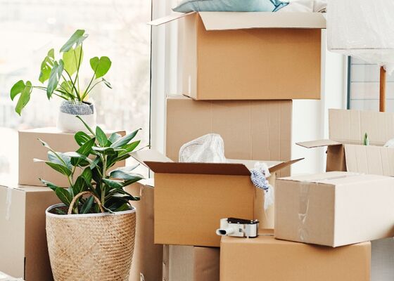 verhuiscoach senioren