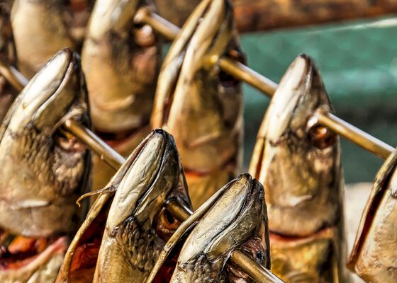 Supermarkten stoppen verkoop makreel