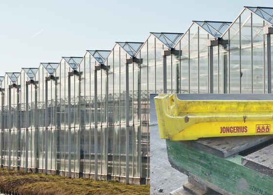 Plantenkweker Jongerius stopt