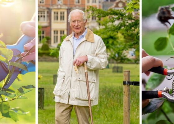 snoeien koing Charles