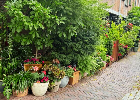 vergroenen voor te weinig groen