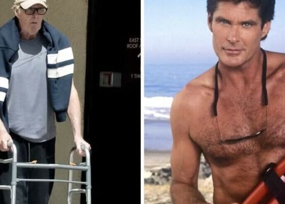 David Hasselhoff