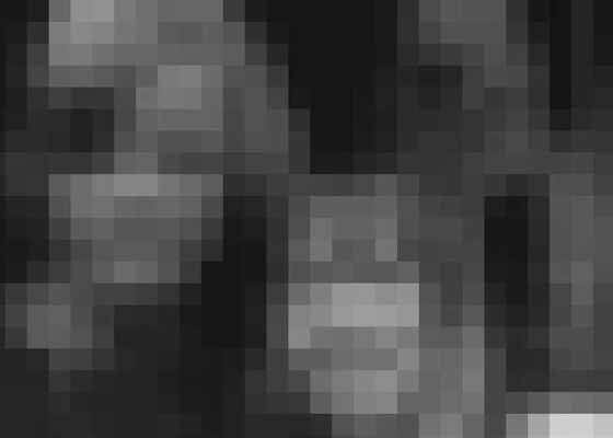 Bekende Nederlanders