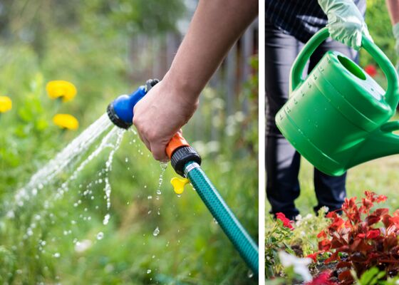 Planten tuin watergeven tips