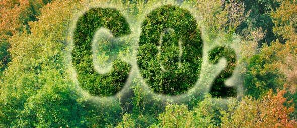 Natuur neemt minder CO₂ op dan gedacht: wetenschappers slaan alarm