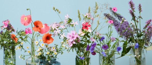 Is bloemenvoeding noodzakelijk voor een boeket bloemen? + tips