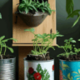 Creatieve plantenpotten