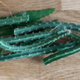 cactussen stekken