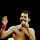 Freddie Mercury