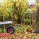 herfststorm tuin herstellen