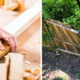 houtsoorten tuin