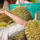 durian stinkfruit en groenten