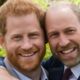 William en Harry