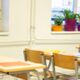 planten examens